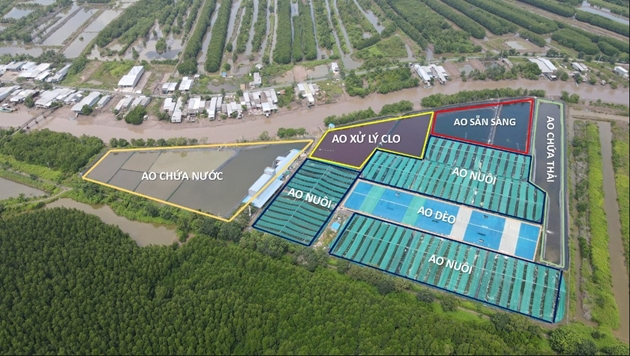 Mô hình Grofarm Pro: Giải pháp mang lại hiệu quả vượt trội cho nuôi tôm công nghệ cao