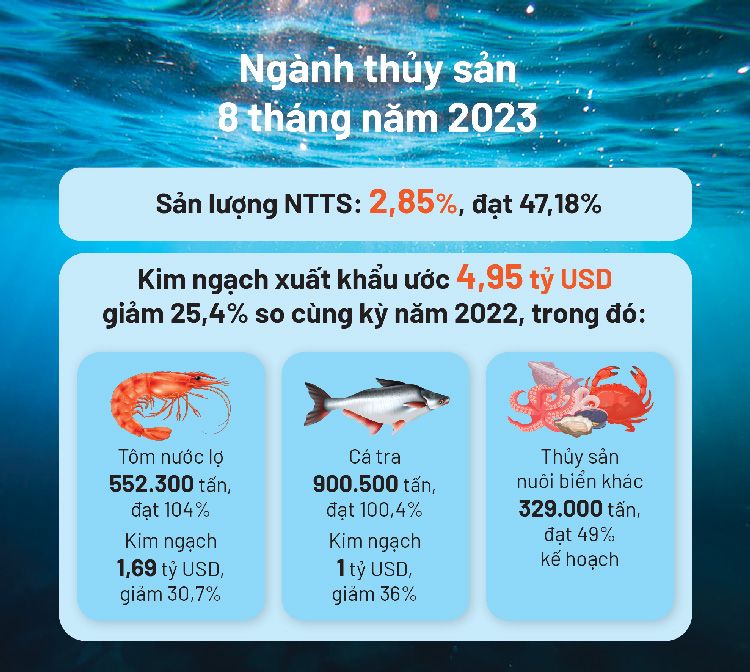 Dự Báo Sản Lượng và Giá Xuất Khẩu Tôm Nước Lợ Cuối Năm