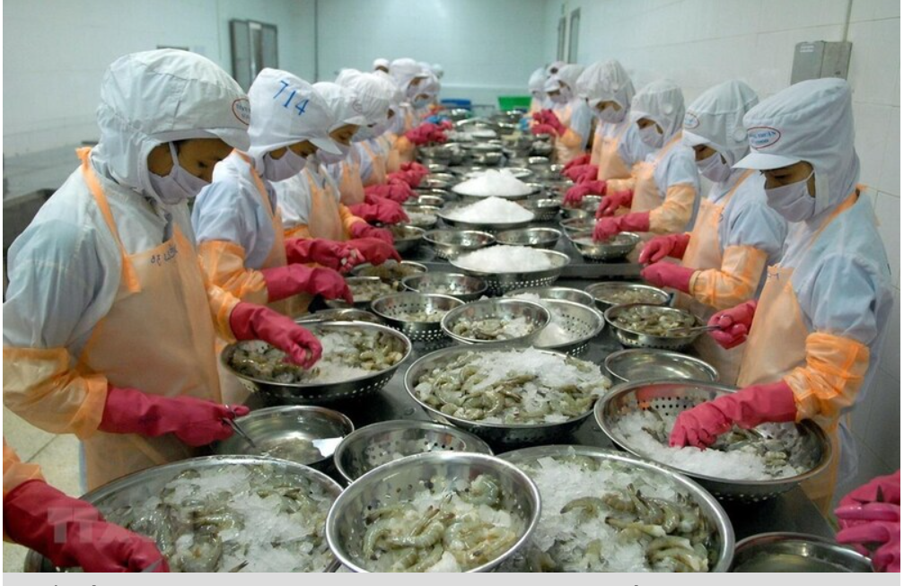 Xuất khẩu thủy sản Việt Nam kỳ vọng khởi sắc trong tháng 3